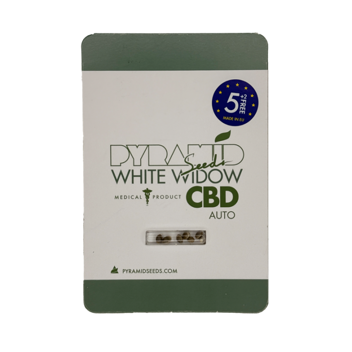 Sementes de maconha Auto White Widow CBD Pyramid Seeds Brasil