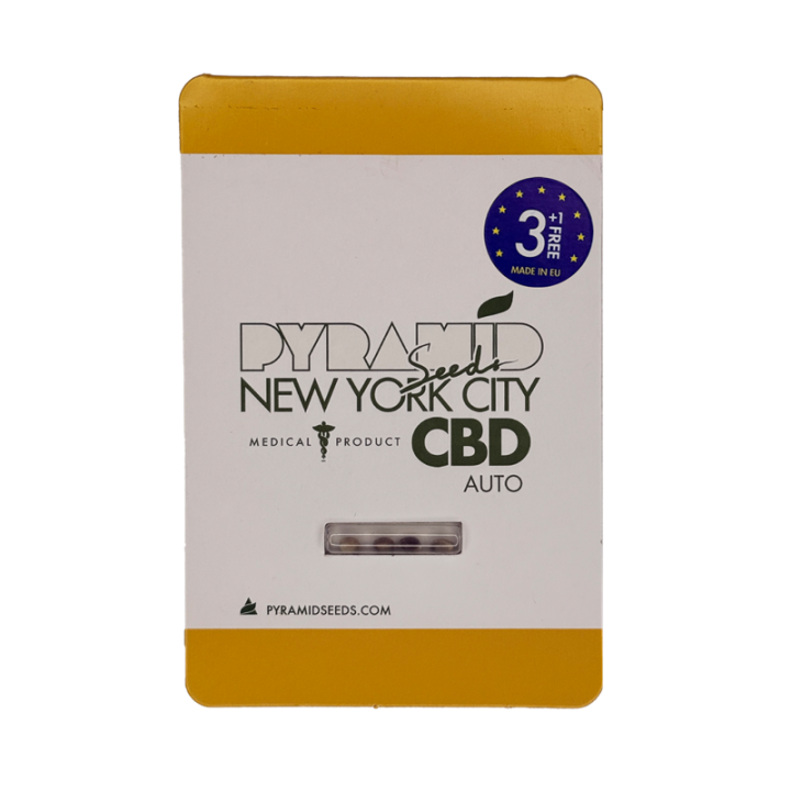 Sementes de maconha Auto New York City CBD Pyramid Seeds Brasil