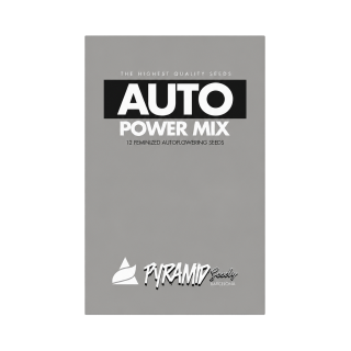 Kit Power Mix Auto Pyramid Seeds com 12 sementes automáticas feminizadas de 4 variedades de maconha