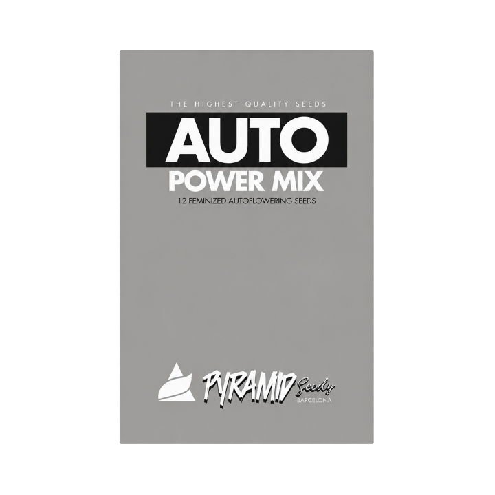 Kit Power Mix Auto Pyramid Seeds com 12 sementes automáticas feminizadas de 4 variedades de maconha