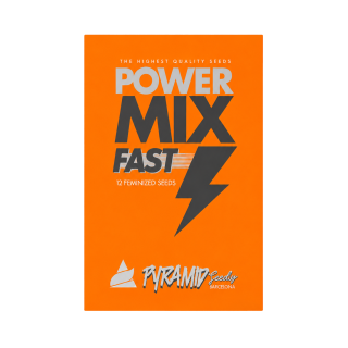 Kit Power Mix Fast Pyramid Seeds com 12 sementes feminizadas de maconha de floração rápida
