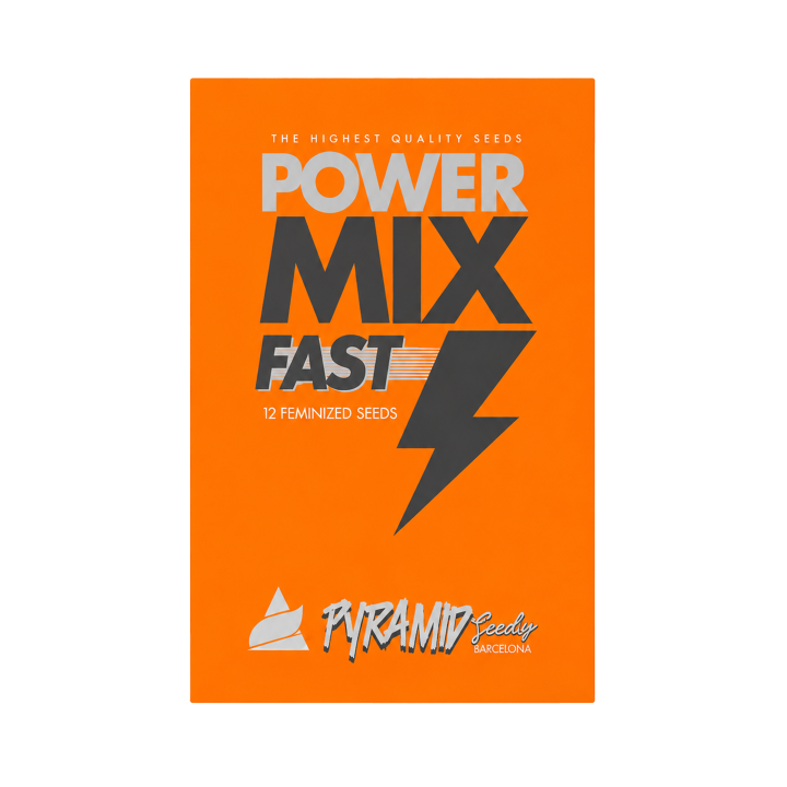 Kit Power Mix Fast Pyramid Seeds com 12 sementes feminizadas de maconha de floração rápida