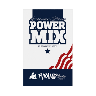 Kit Power Mix American Pyramid Seeds com 12 sementes feminizadas de 4 genéticas de maconha americanas