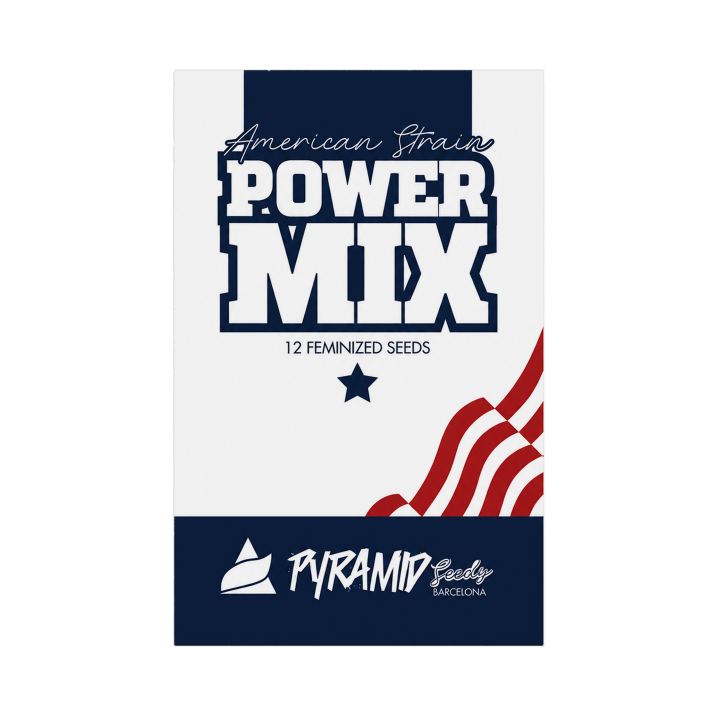 Kit Power Mix American Pyramid Seeds com 12 sementes feminizadas de 4 genéticas de maconha americanas