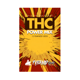 Kit Power Mix THC Pyramid Seeds com 12 sementes feminizadas de 4 variedades de maconha de alto THC