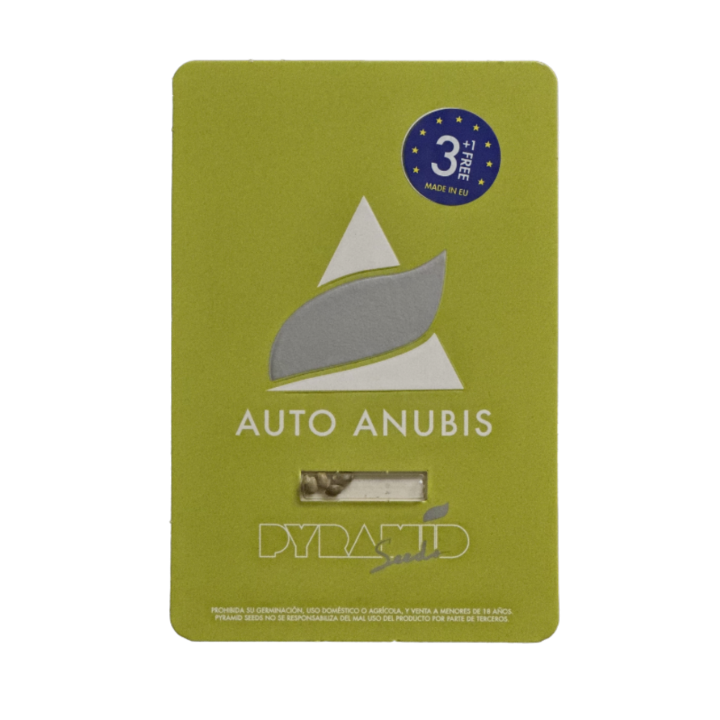 Embalagem da Auto Anubis da Pyramid Seeds – variedade autoflorescente derivada de Anubis com aroma cítrico-doce