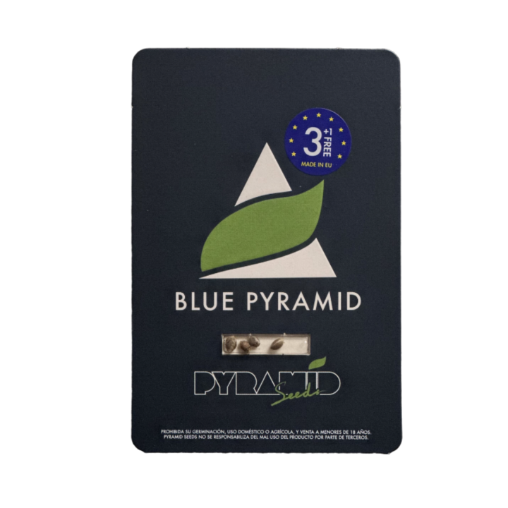 Embalagem da Blue Pyramid da Pyramid Seeds – variedade índica com coloração azul e alto teor de THC