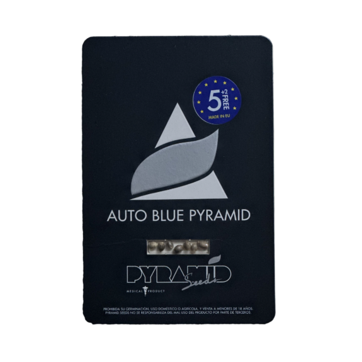 Embalagem da Auto Blue Pyramid da Pyramid Seeds – versão autoflorescente com alto teor de THC e tons azulados marcantes