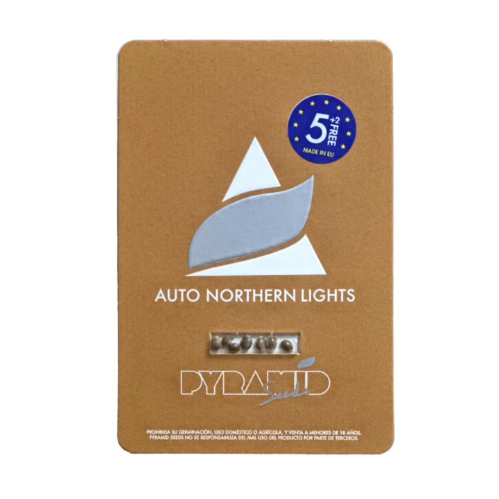 Embalagem da Auto Northern Lights da Pyramid Seeds – versão autoflorescente da lendária Northern Lights