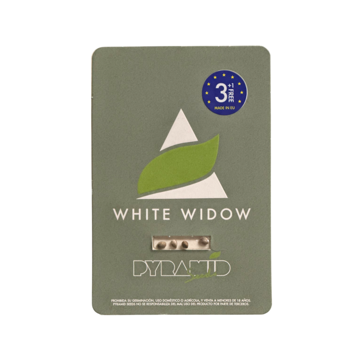 Pacote de sementes White Widow Pyramid Seeds com logotipo da marca