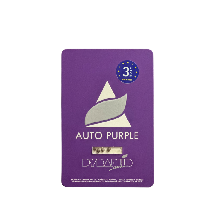 Embalagem das sementes Auto Purple da Pyramid Seeds — variedade autoflorescente com tons roxos e aroma de frutas vermelhas.