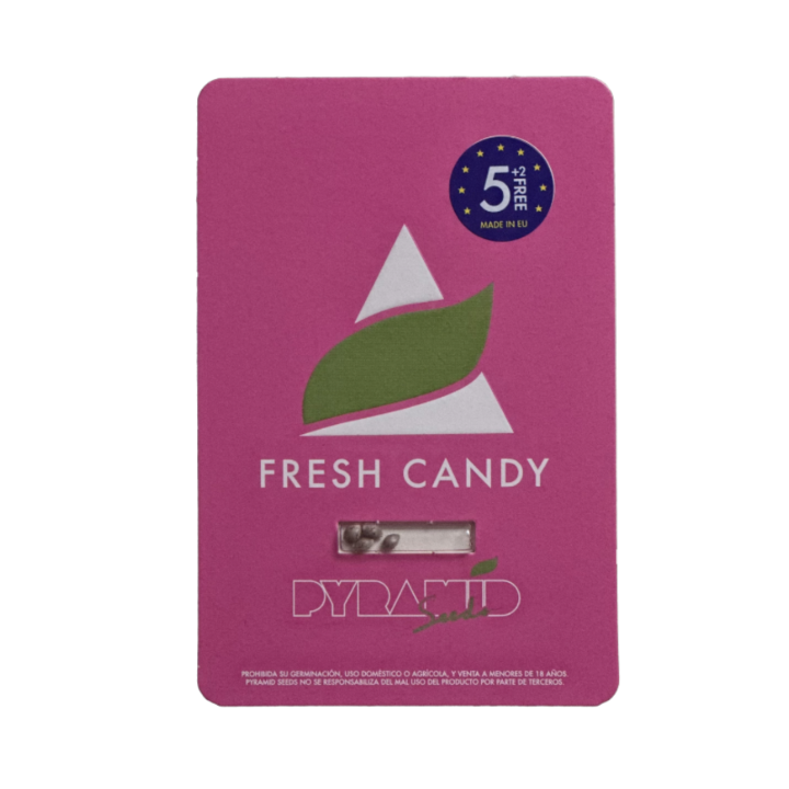 Embalagem das sementes Fresh Candy da Pyramid Seeds — variedade feminizada de aroma doce e efeito relaxante.