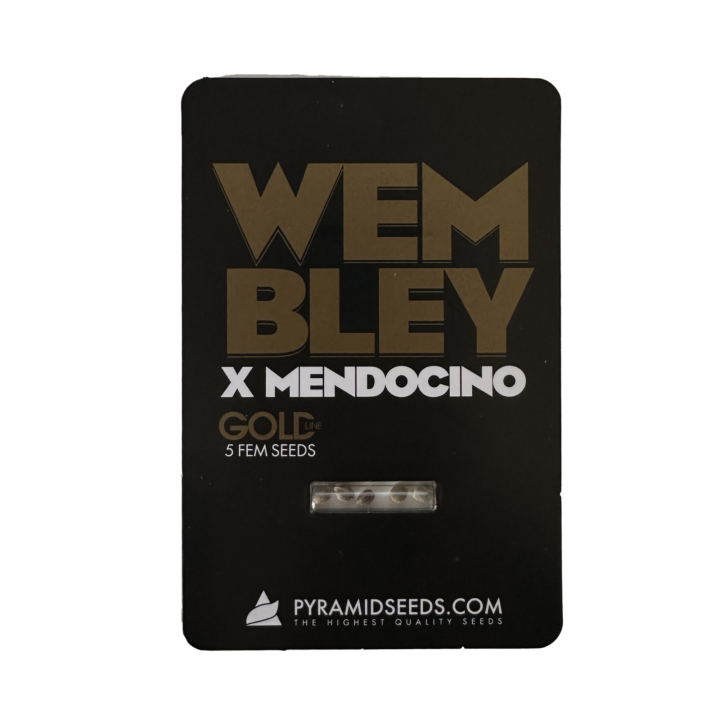 Sementes Wembley × Mendocino Pyramid Seeds – híbrido premium Gold Line