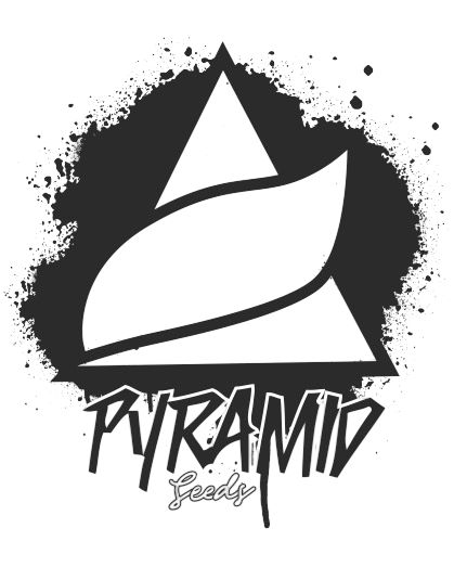 Pyramid Seeds Brasil