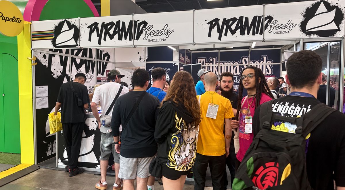 Estande da Pyramid Seeds e da Trikoma Seeds com visitantes em uma feira canábica | Pyramid Seeds Brasil