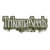 Trikoma Seeds
