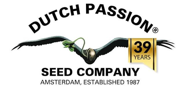 Dutch Passion Brasil